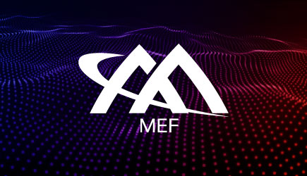 MEF logo with digital landscape background